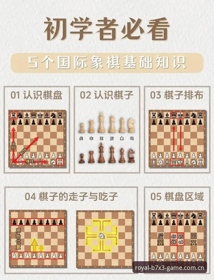 皇家国际沉浸式娱乐使用教程：从入门到精通的完整指南